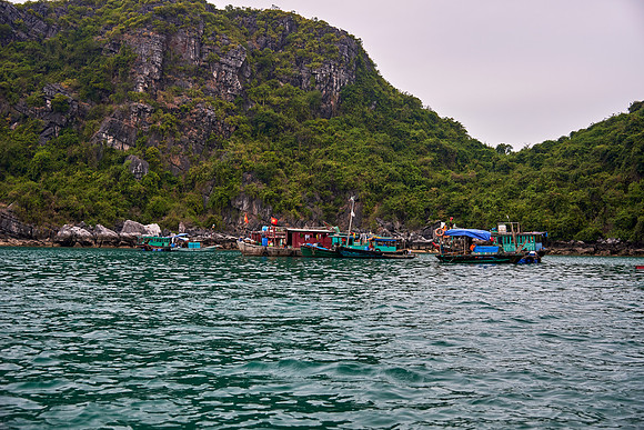 Hạ Long Fishing