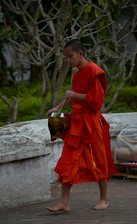Young Monk