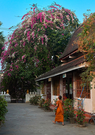 Colors of Louangphrabang