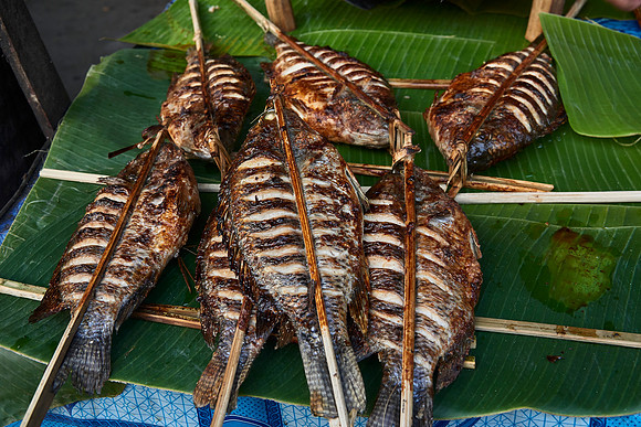 Lunch, Anyone?