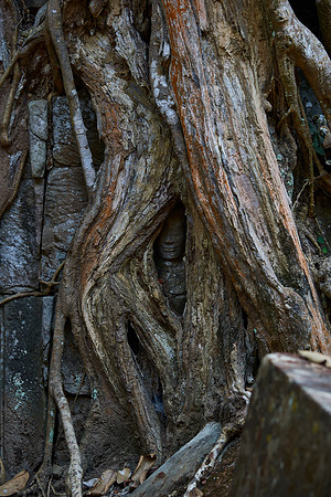 Buddha Hiding
