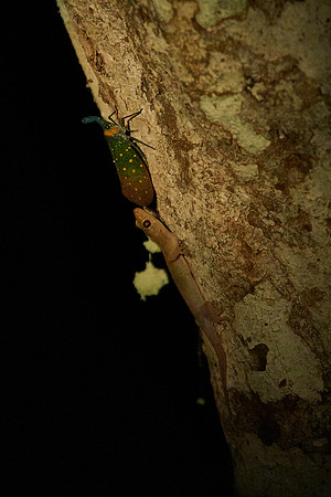 Hmmm?  Yummy, but Quite a Mouthful