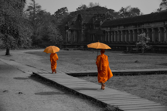 Orange Farewell