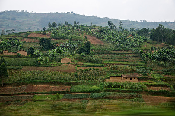 Rwanda Countryside