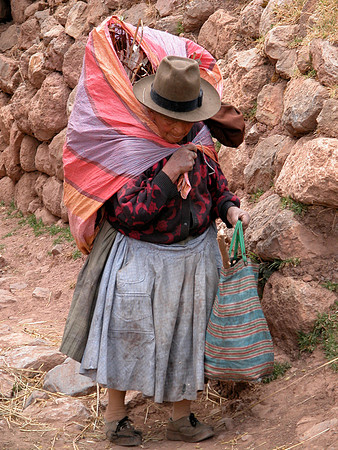 Incan Woman - Gatherering Wood