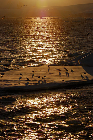 Antarctic Sunset 67° 19’ 1” S