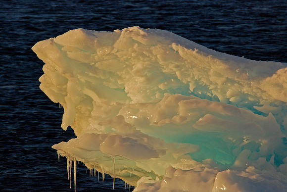 Low Light & Ice