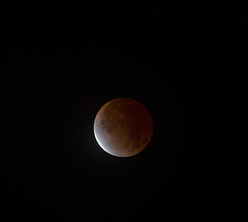 Lunar Eclipse - November 2021