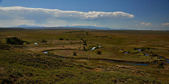 North Park Vista