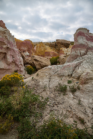 Paint Mines - Flowers & Formations