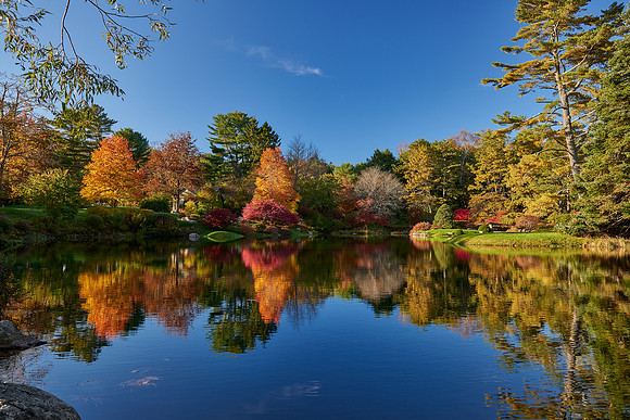 Asticou Gardens - Brilliant Colors