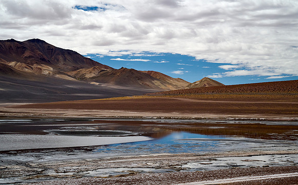 Shades of Brown Plus Blue Reflection