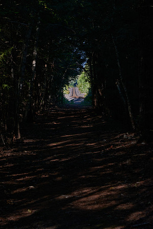 Light at the End of the Bait Hole Tunnel