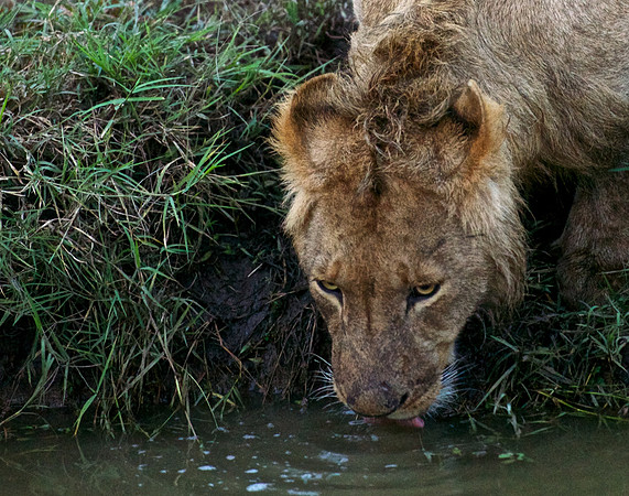 Hydration