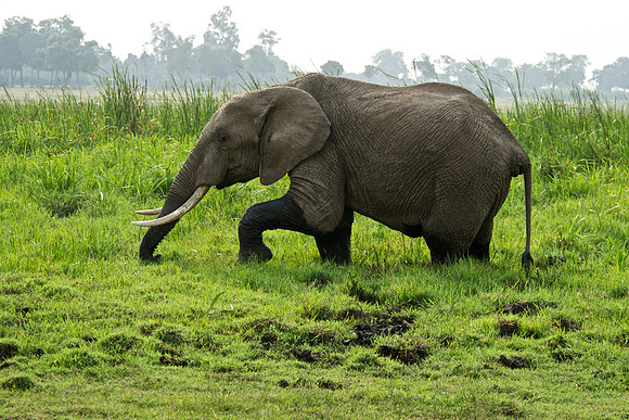 I Hate Mud!