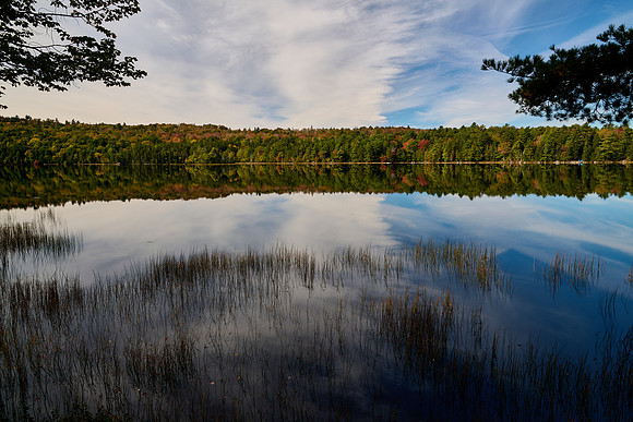 Echo Lake Reflections
